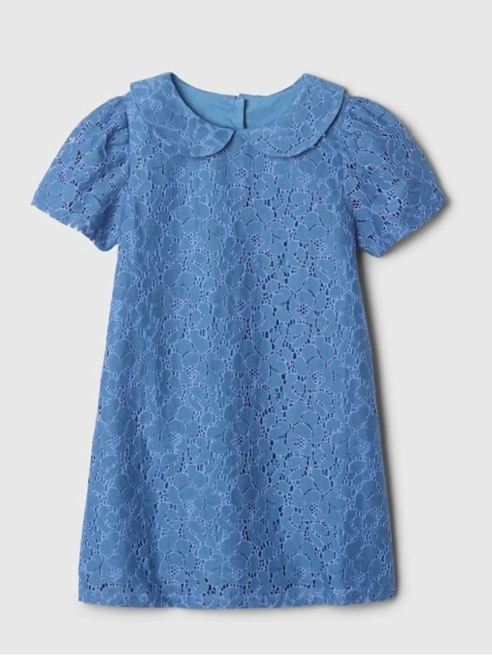 Gap Lace Peter Pan Collar Dress